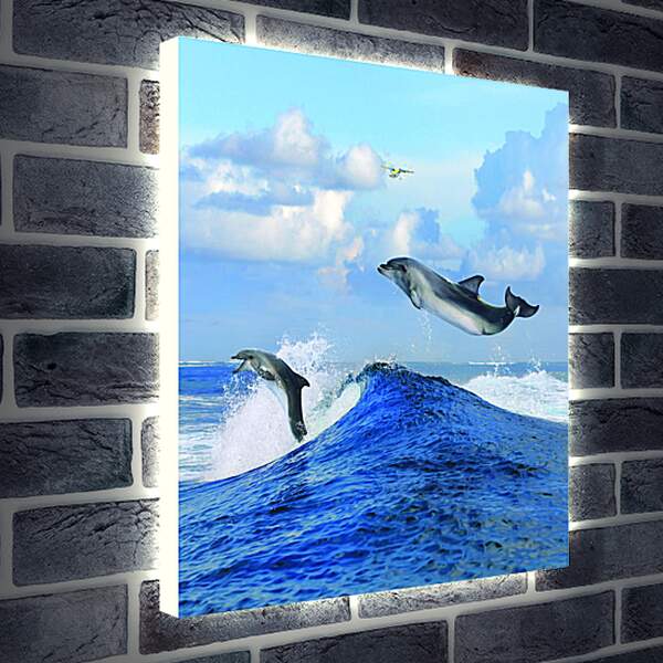 Лайтбокс световая панель - Полет дельфина
