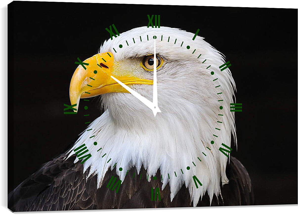 Часы картина - Орел
