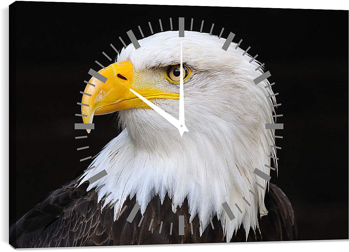 Часы картина - Орел
