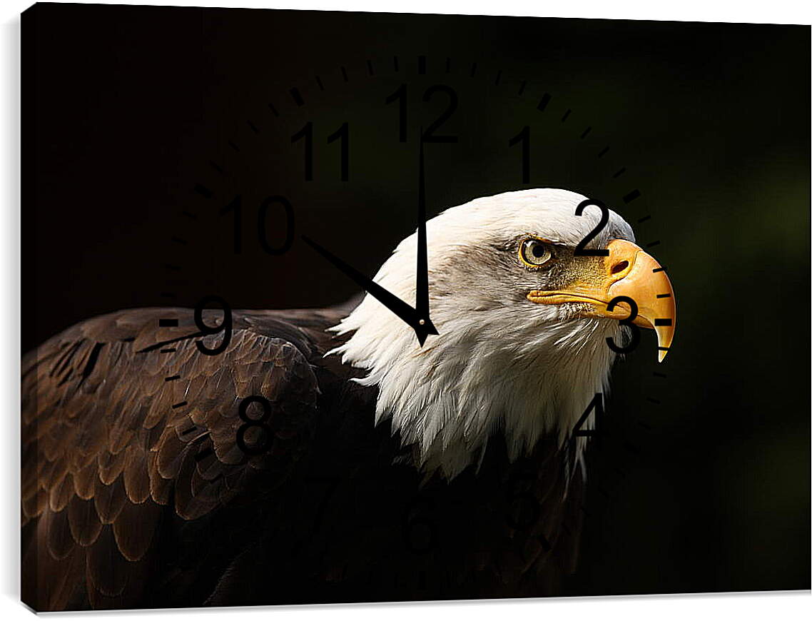 Часы картина - Орел на черном фоне
