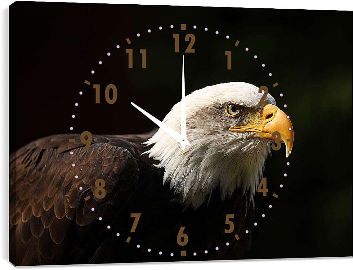 Часы картина - Орел на черном фоне
