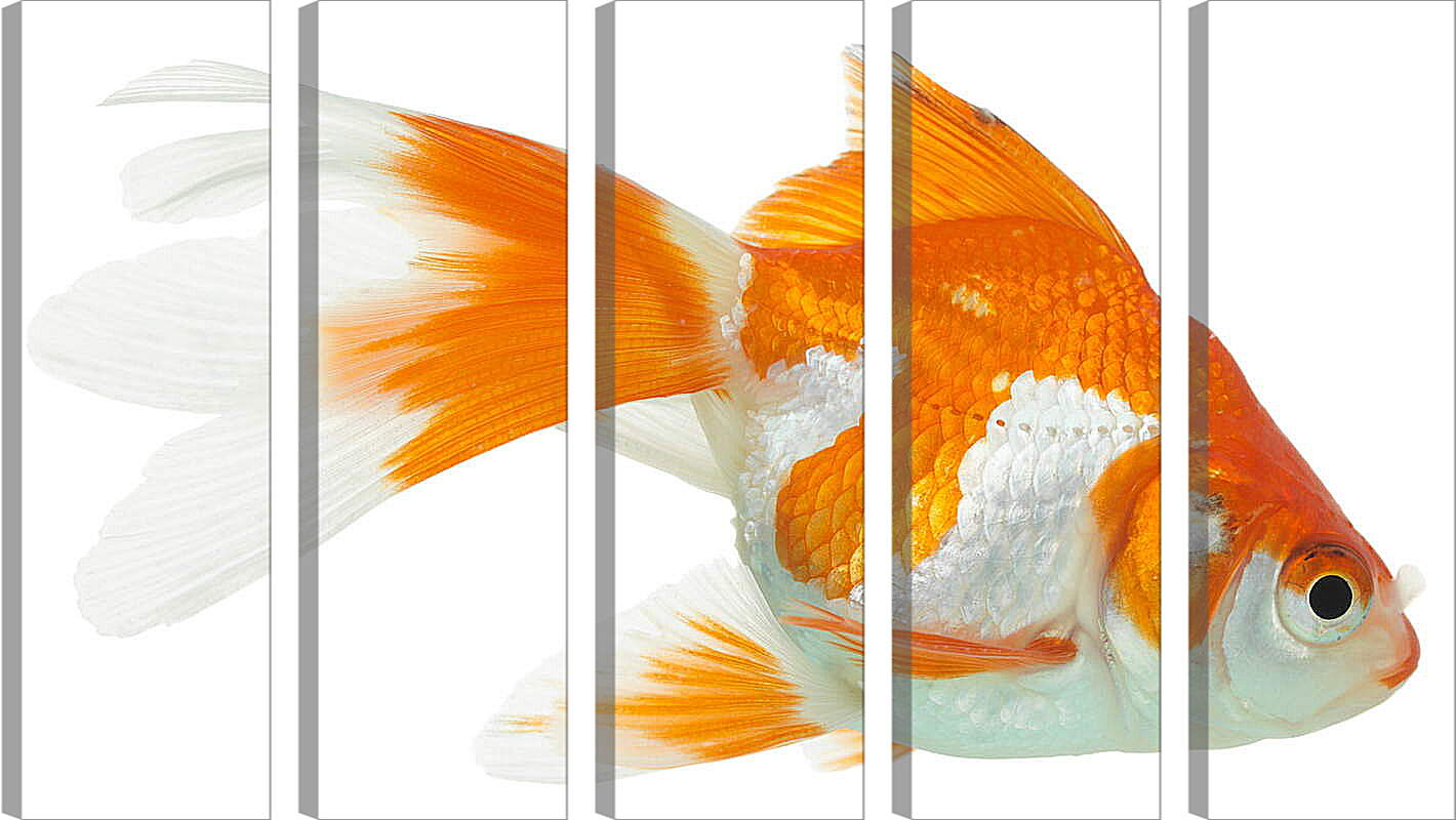 Модульная картина - Рыбка
