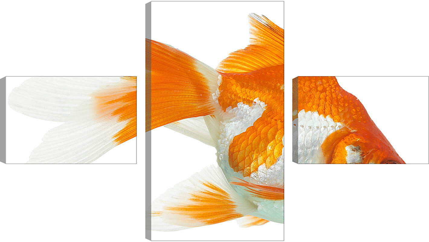 Модульная картина - Рыбка
