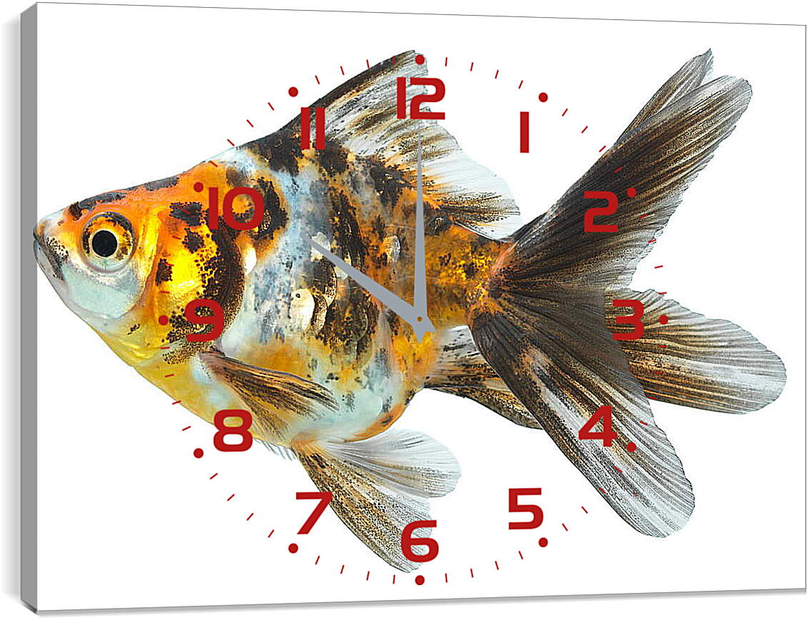 Часы картина - Маленькая рыбка
