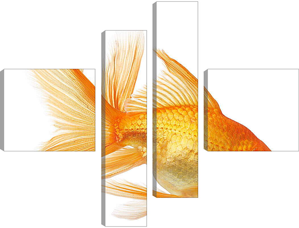 Модульная картина - Золотая рыбка на белом фоне

