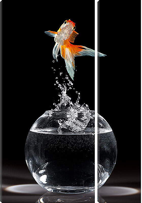 Модульная картина - Танец рыбки

