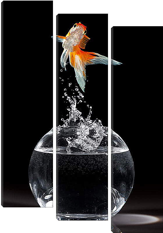 Модульная картина - Танец рыбки

