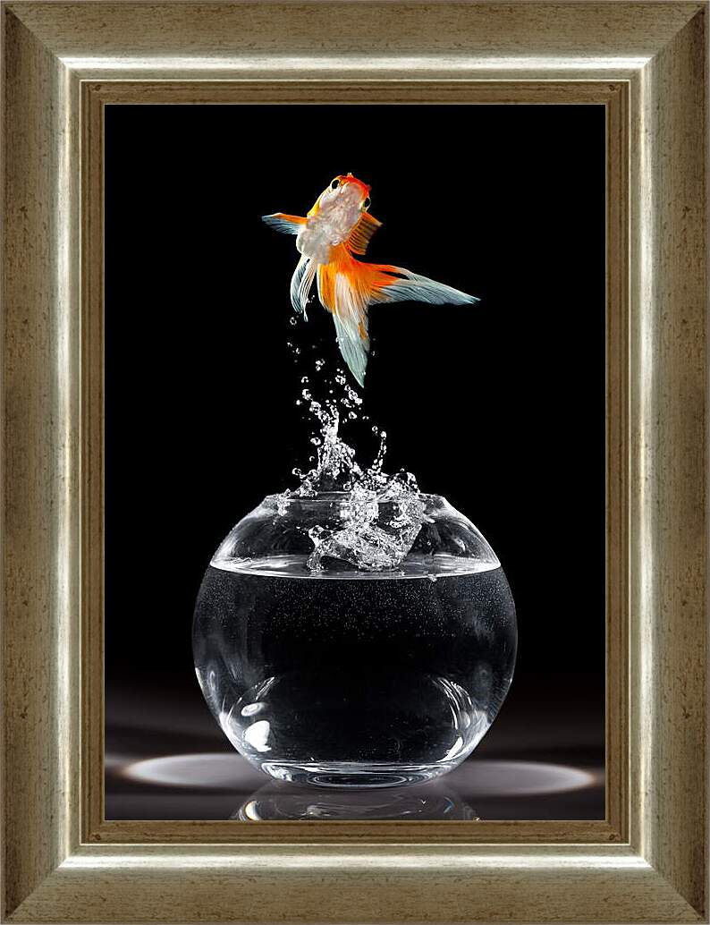Картина в раме - Танец рыбки

