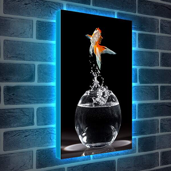 Лайтбокс световая панель - Танец рыбки
