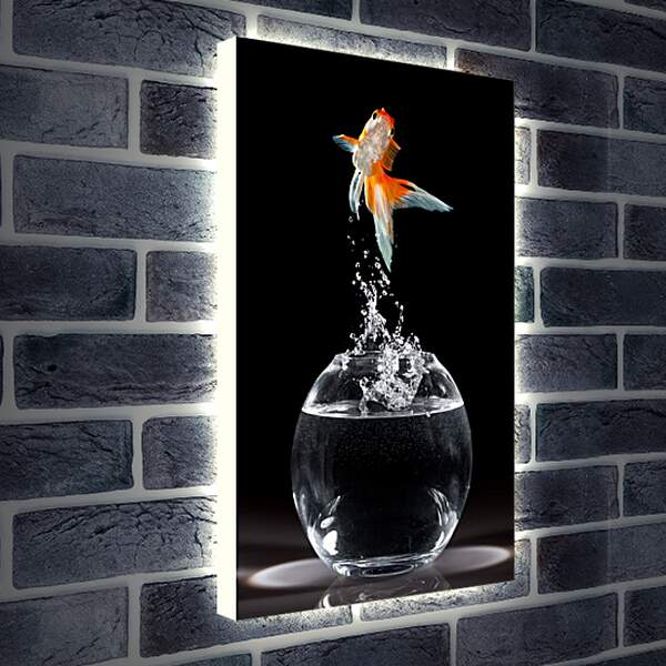 Лайтбокс световая панель - Танец рыбки
