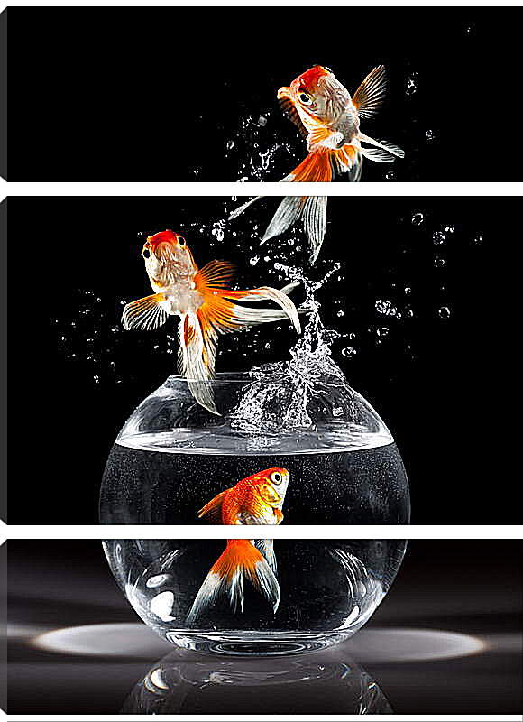 Модульная картина - Прыжки рыбок
