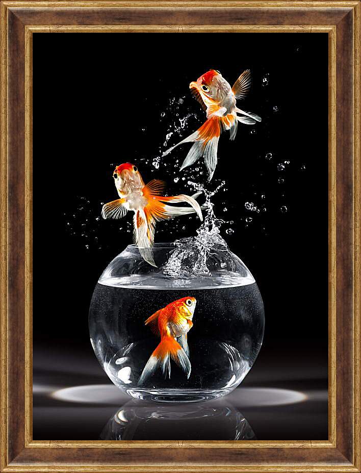 Картина в раме - Прыжки рыбок
