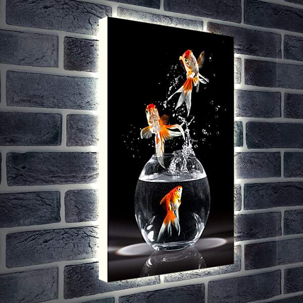 Лайтбокс световая панель - Прыжки рыбок

