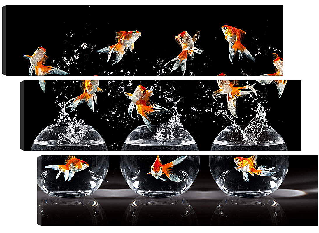 Модульная картина - Золотые рыбки брызги танец
