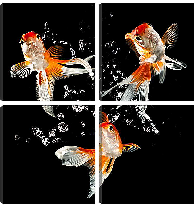 Модульная картина - Танец рыбок
