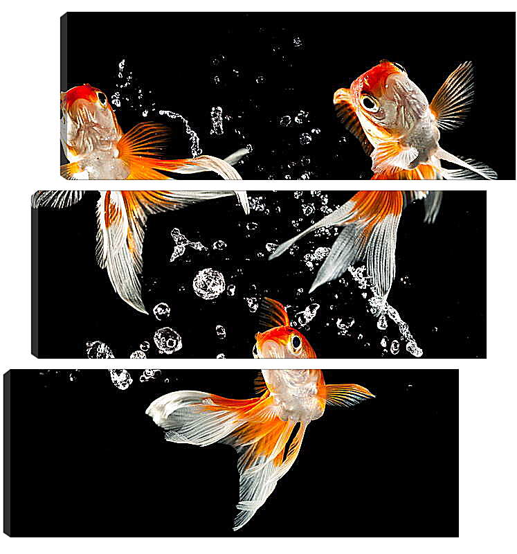 Модульная картина - Танец рыбок
