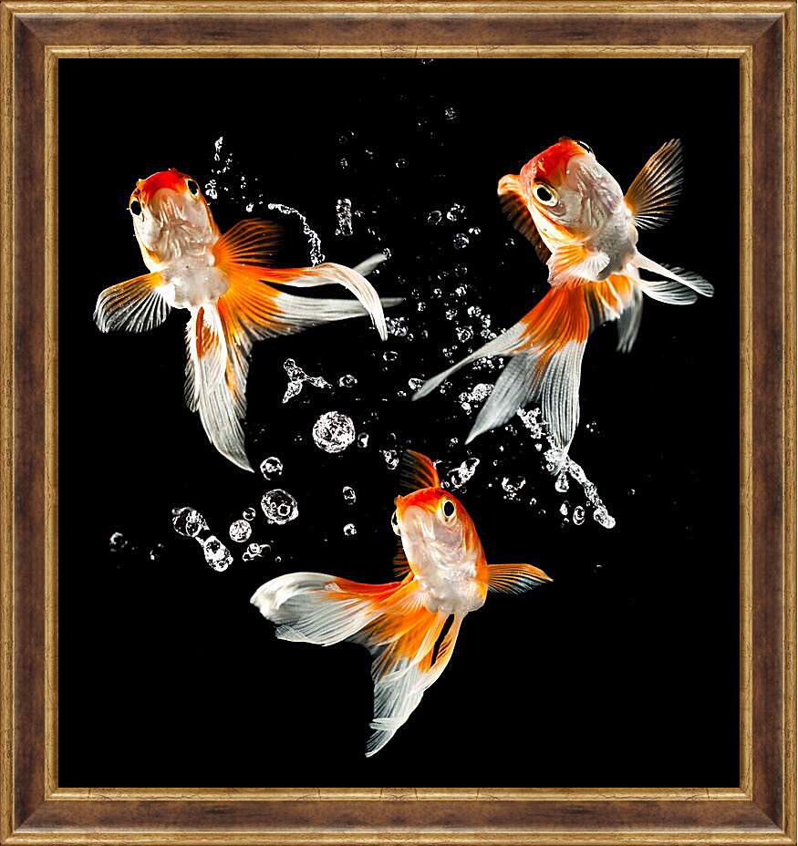 Картина в раме - Танец рыбок
