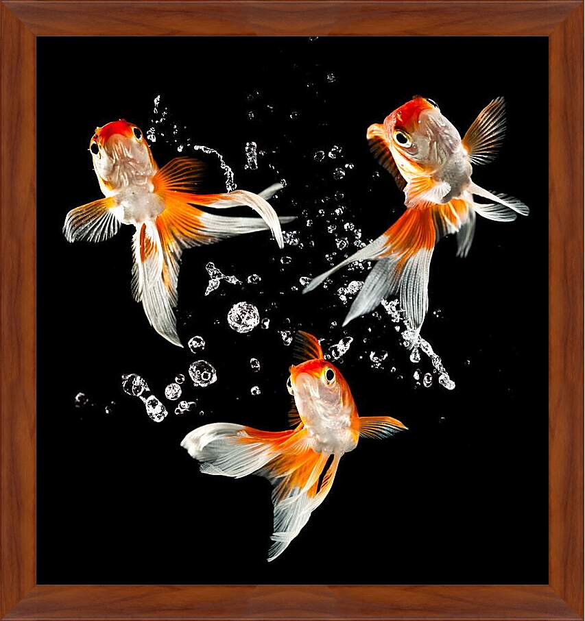 Картина в раме - Танец рыбок
