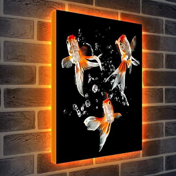 Лайтбокс световая панель - Танец рыбок
