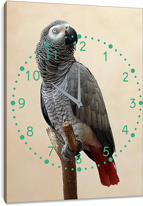 Часы картина - Попугай
