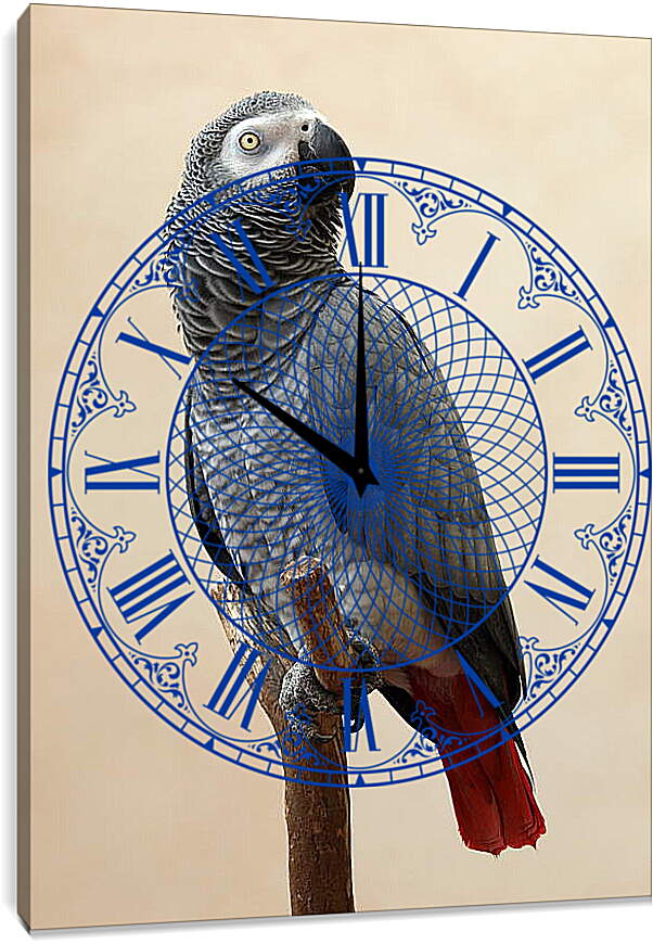 Часы картина - Попугай
