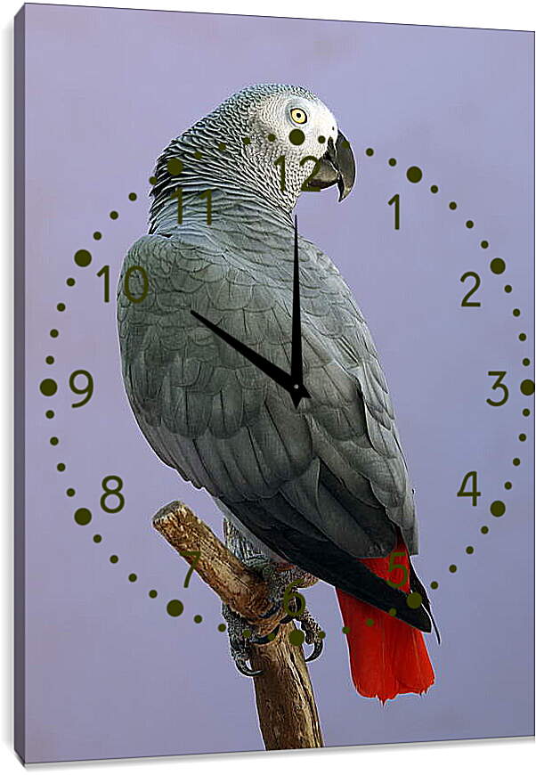 Часы картина - Жако
