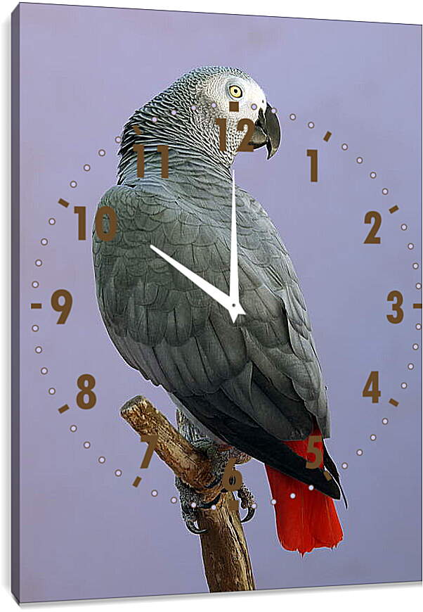 Часы картина - Жако
