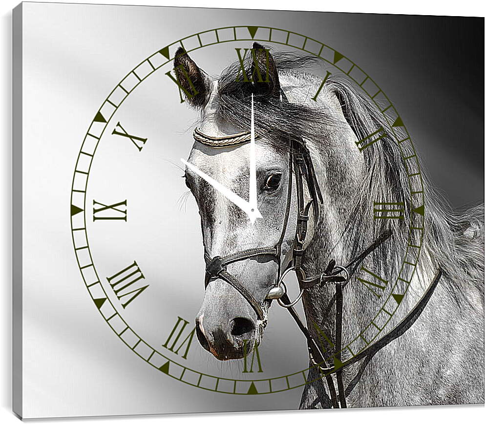 Часы картина - Белый конь
