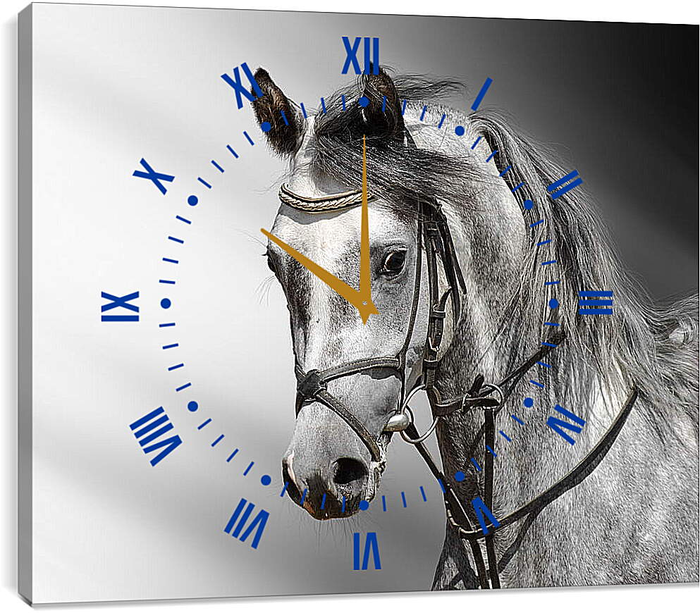 Часы картина - Белый конь
