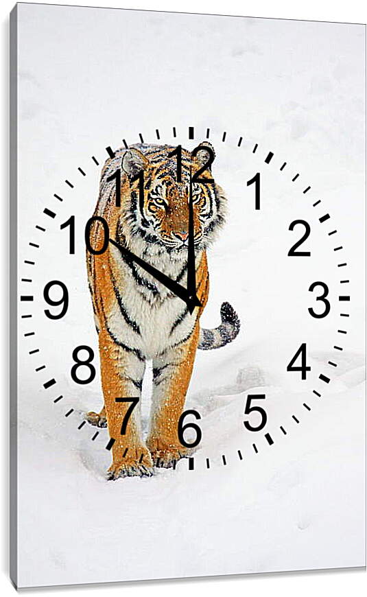 Часы картина - Тигр на снегу
