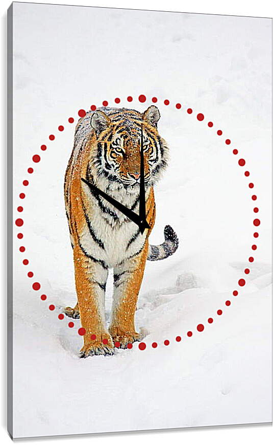 Часы картина - Тигр на снегу
