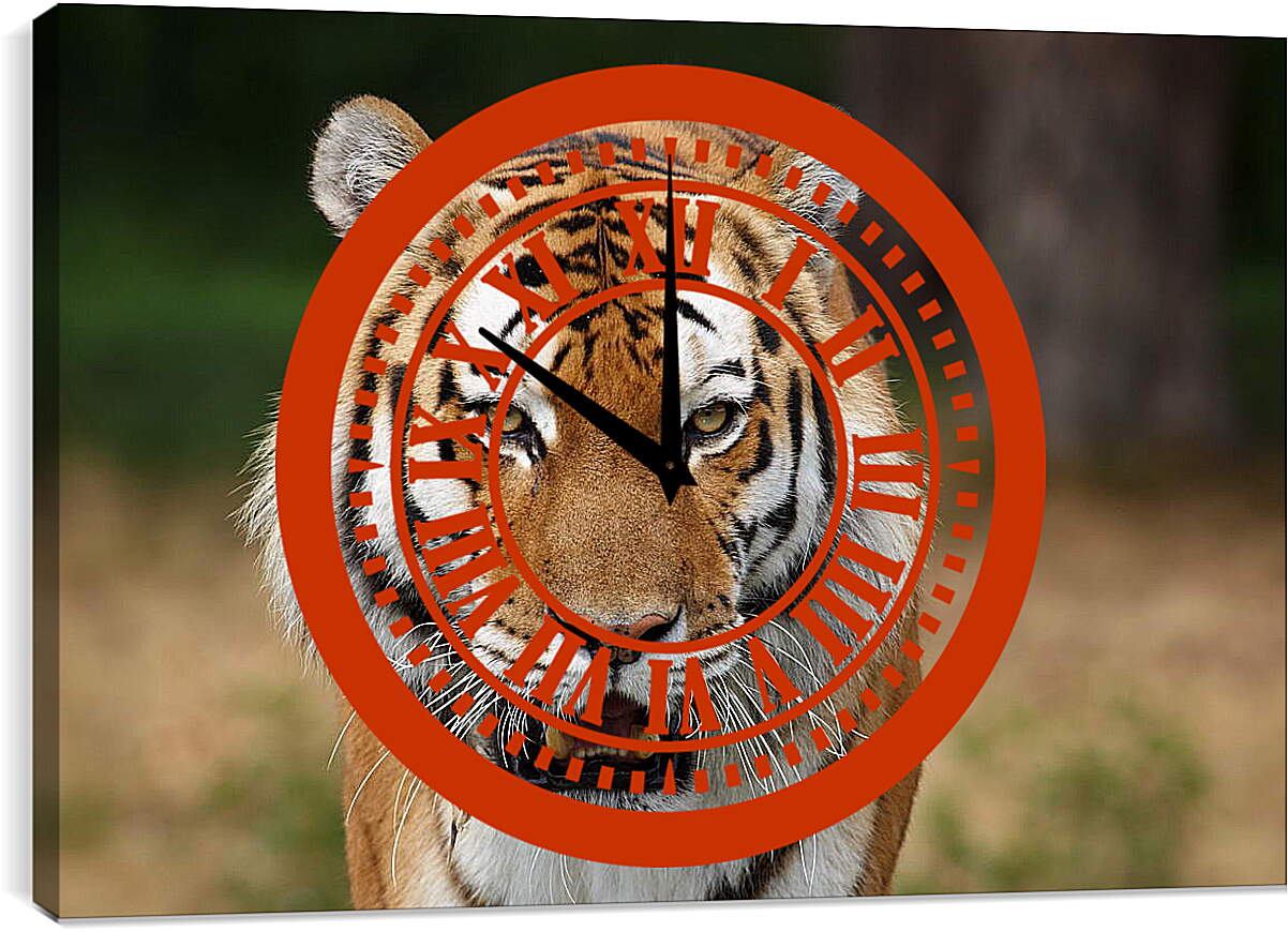 Часы картина - Злой тигр
