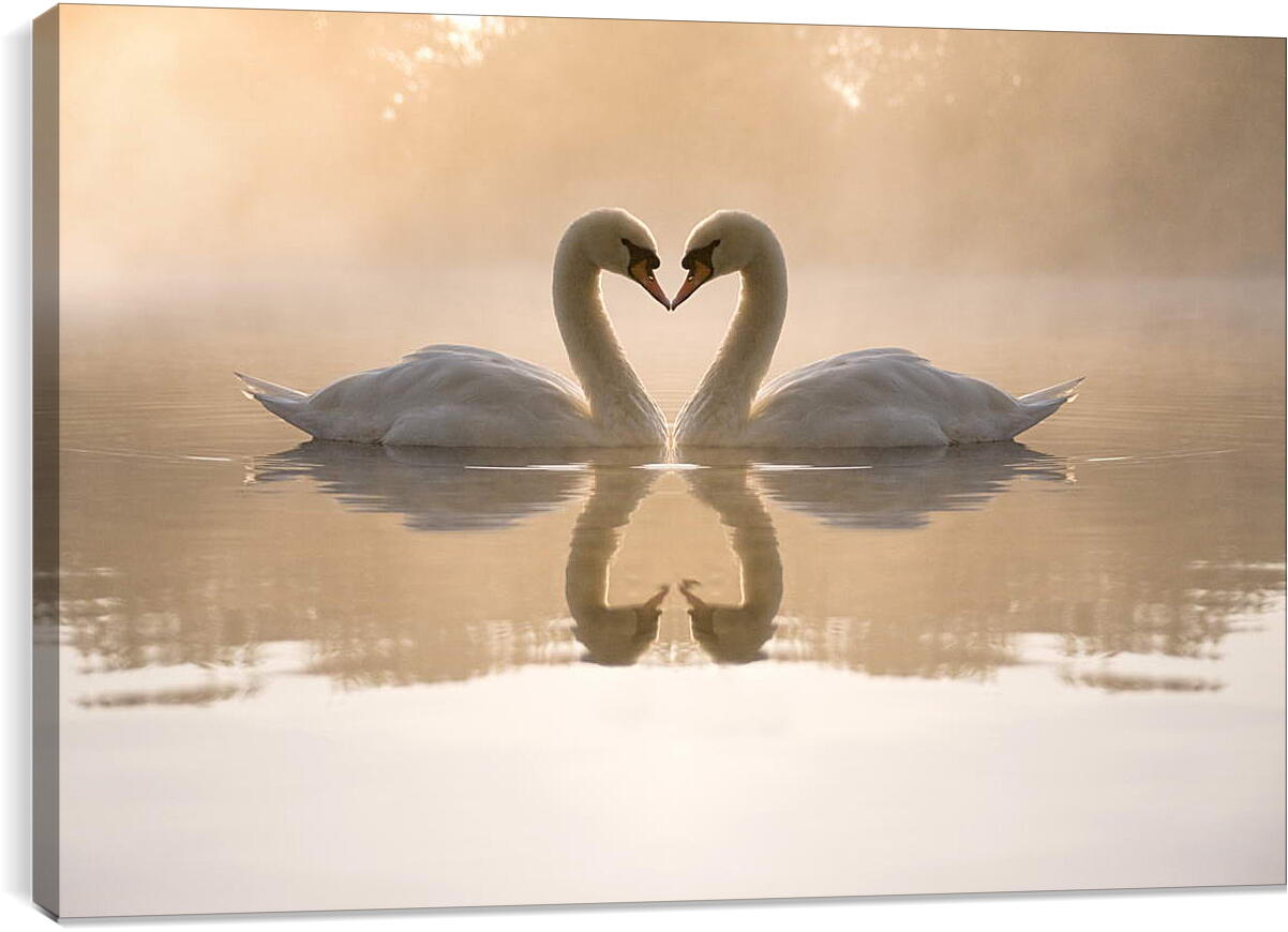 Постер и плакат - Лебеди на озере
