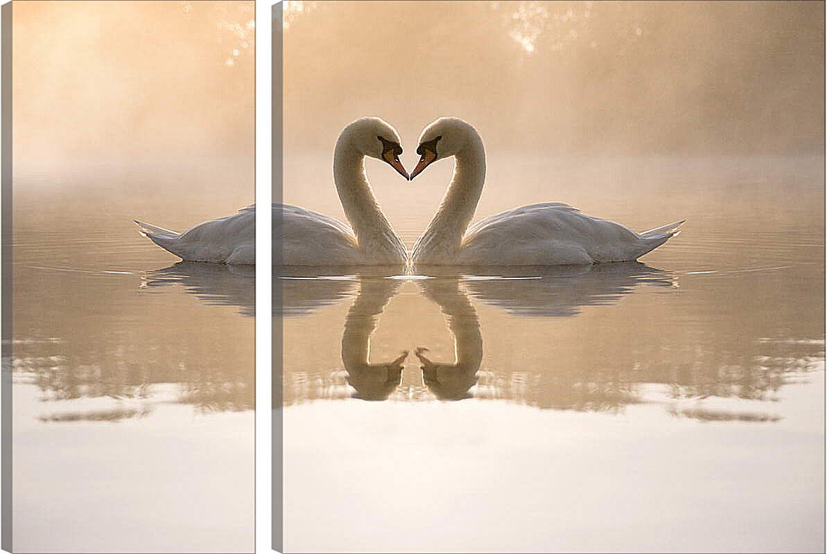 Модульная картина - Лебеди на озере
