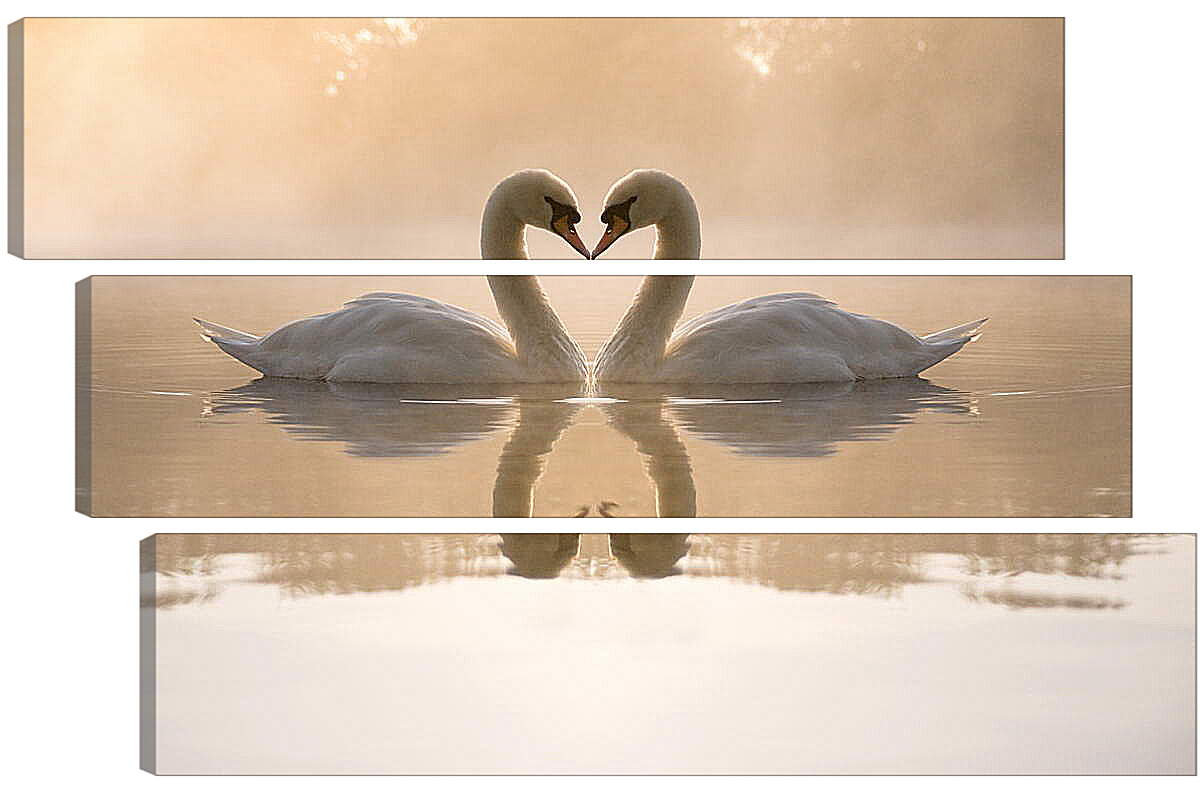 Модульная картина - Лебеди на озере
