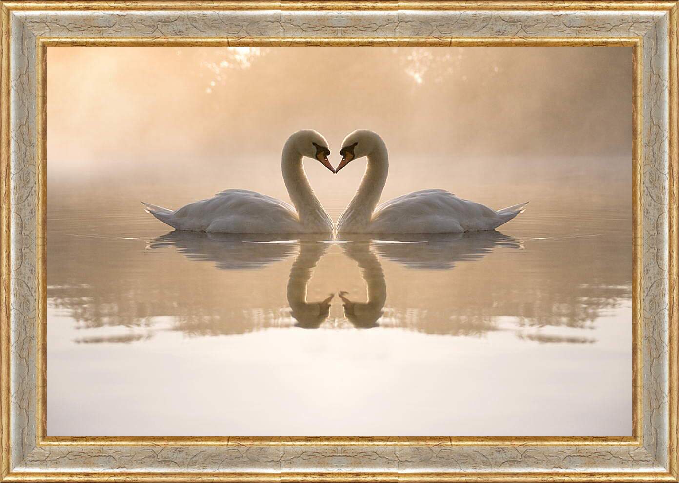 Картина в раме - Лебеди на озере
