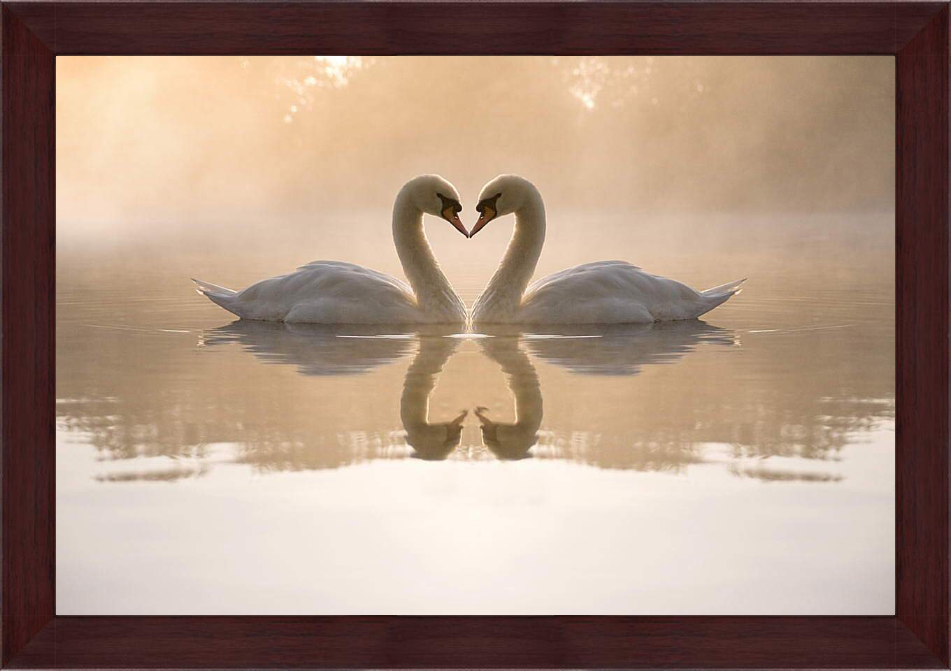 Картина в раме - Лебеди на озере
