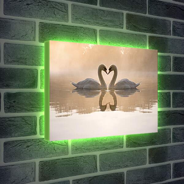 Лайтбокс световая панель - Лебеди на озере
