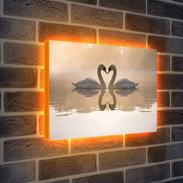 Лайтбокс световая панель - Лебеди на озере
