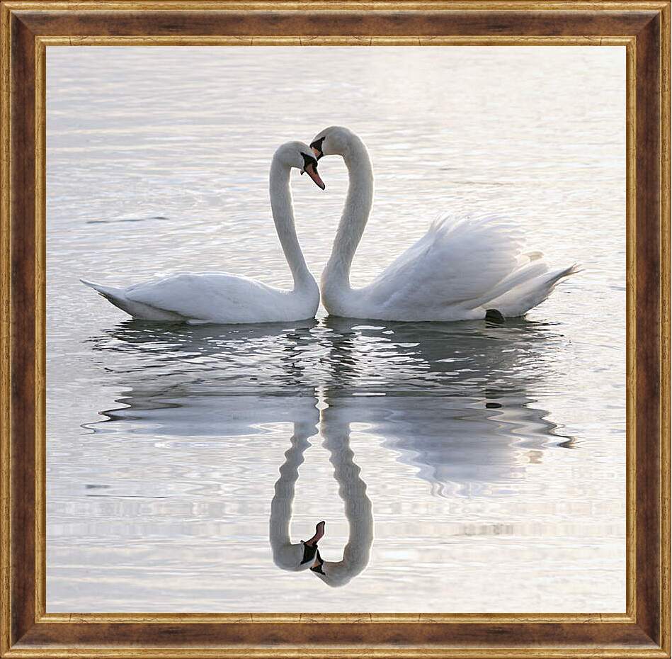 Картина в раме - Лебединая любовь

