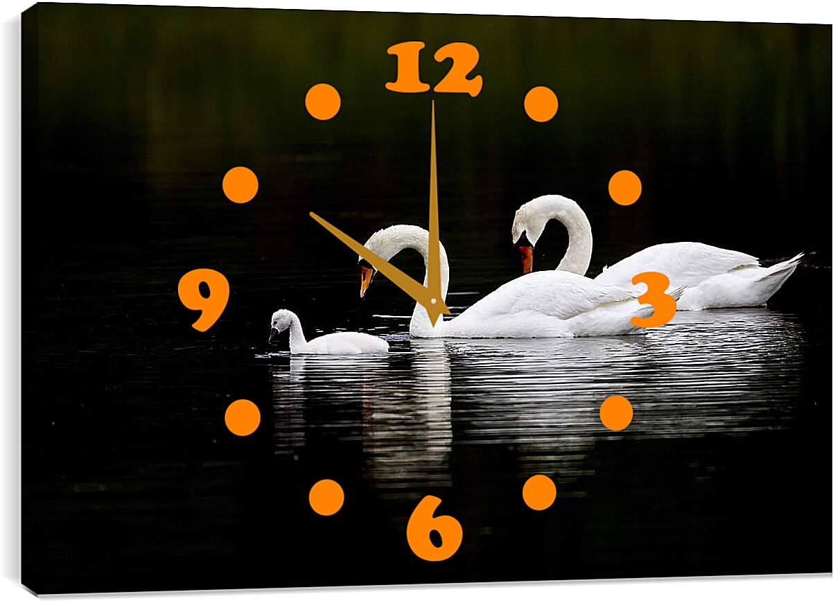 Часы картина - Лебединая семья
