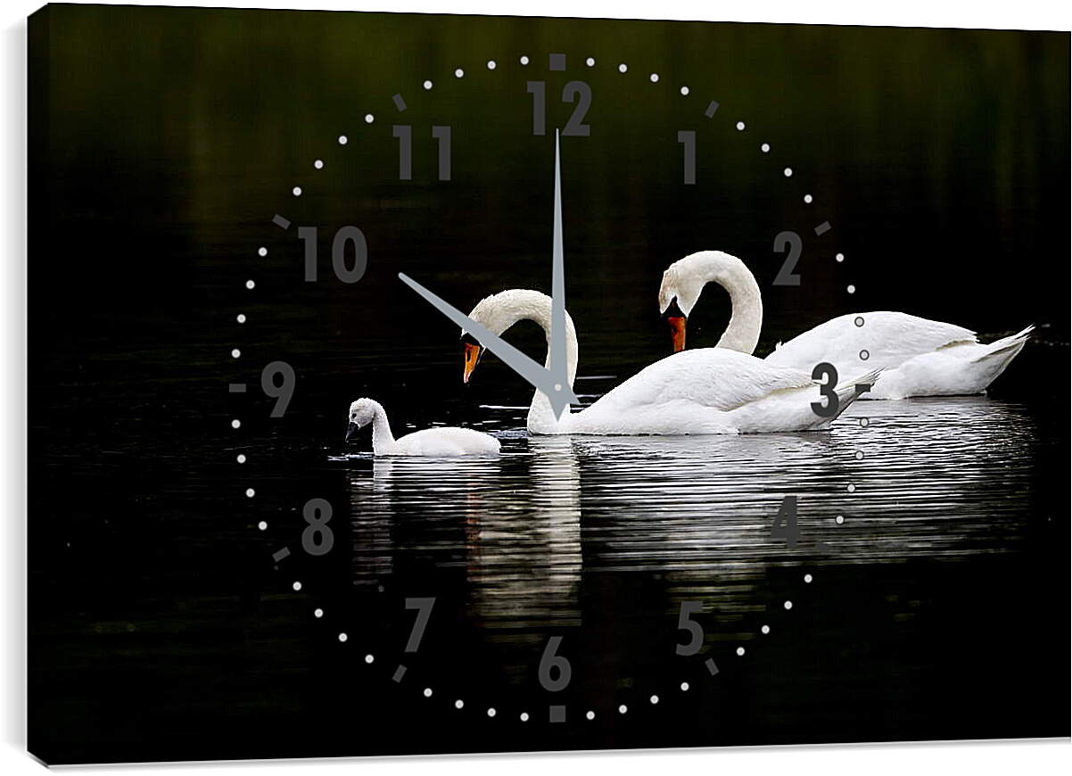 Часы картина - Лебединая семья
