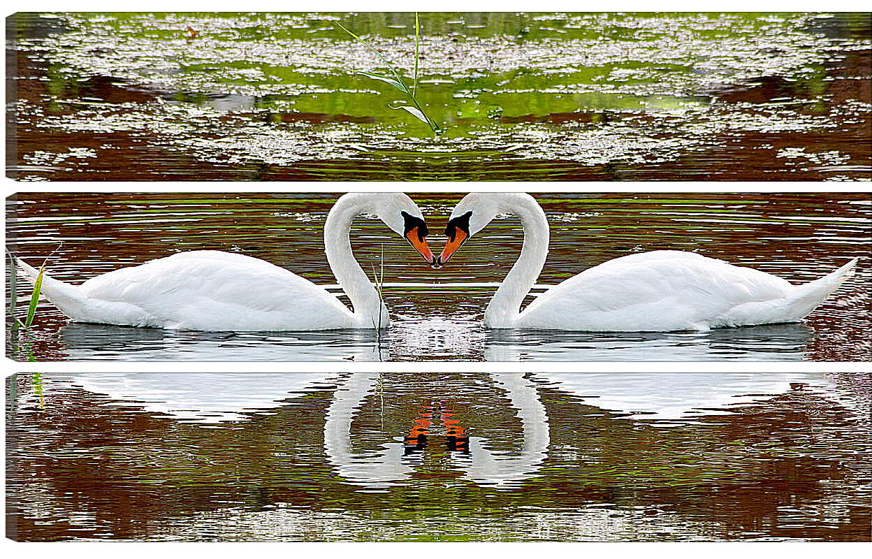 Модульная картина - Два лебедя
