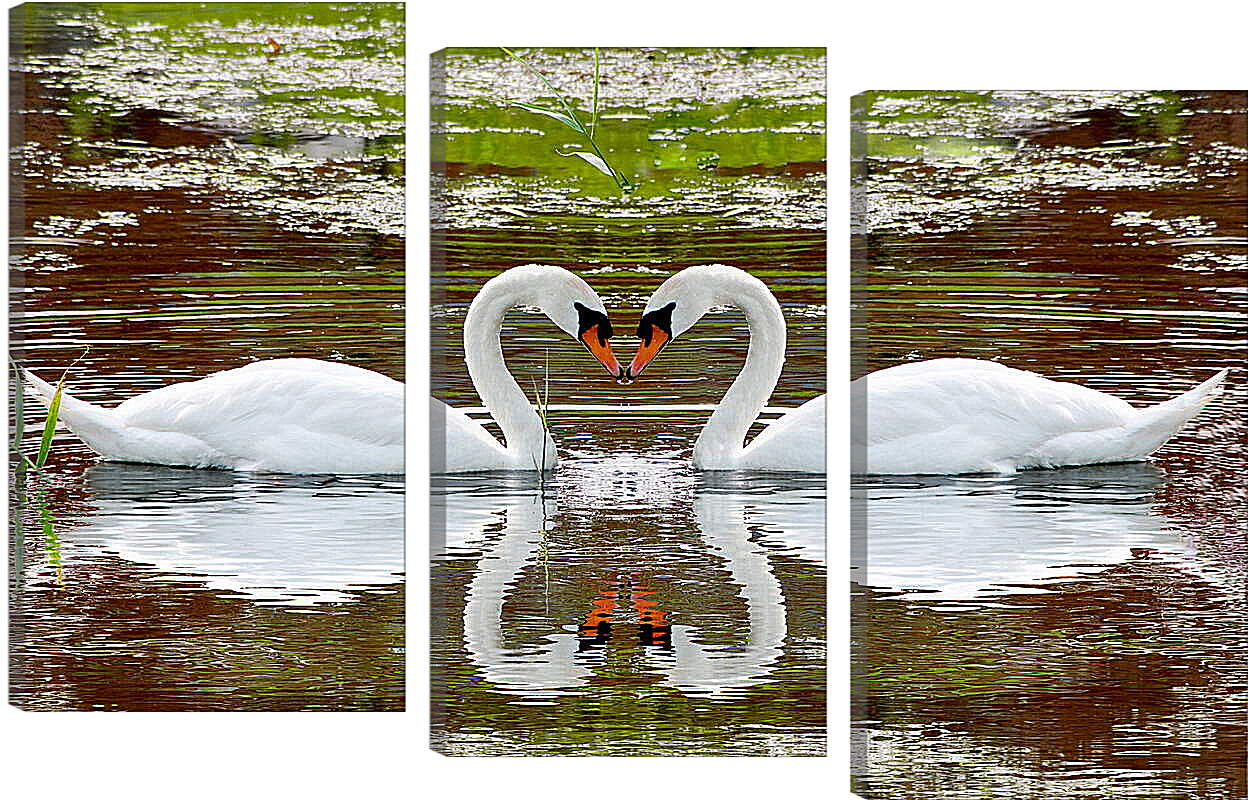 Модульная картина - Два лебедя

