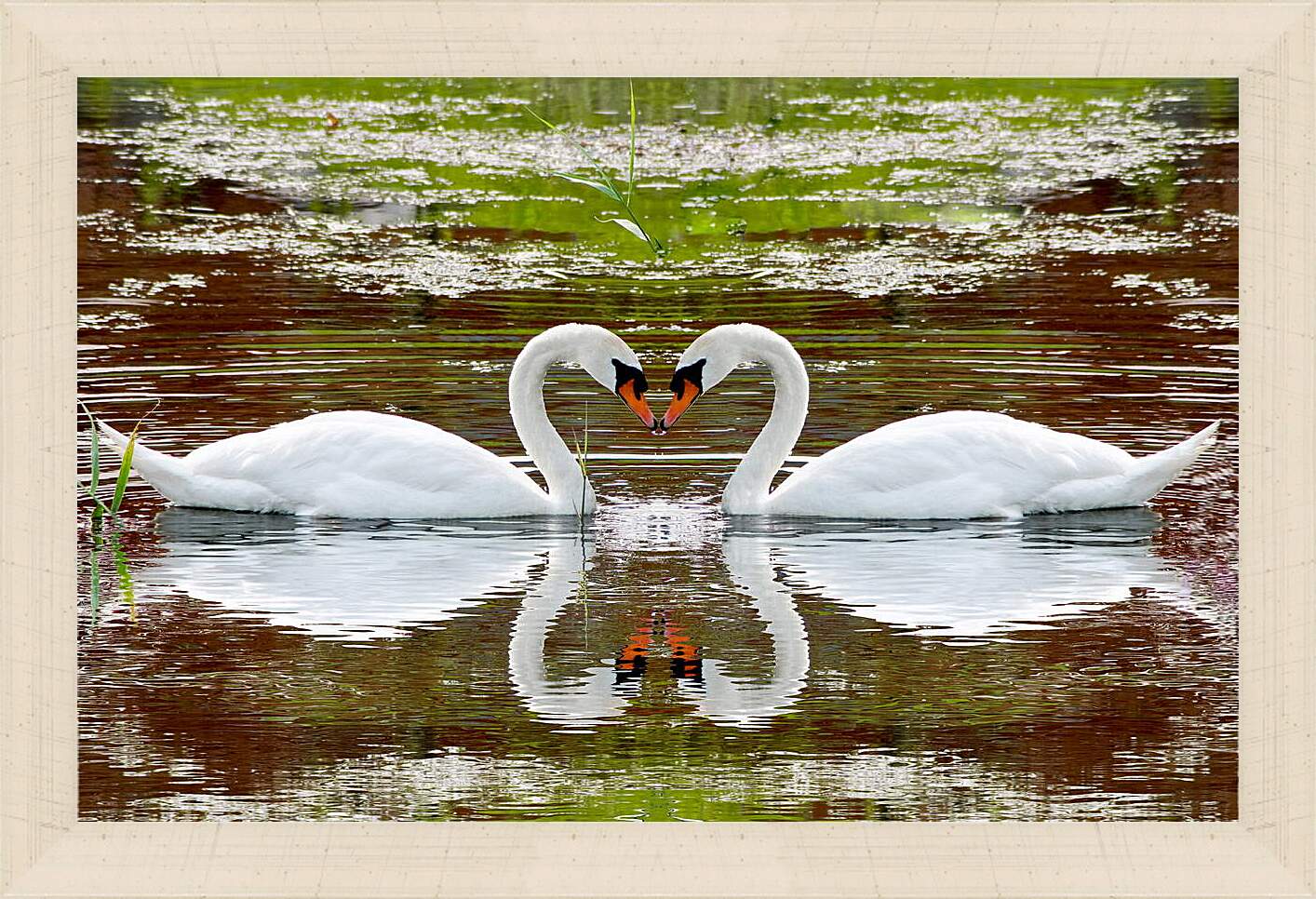 Картина в раме - Два лебедя
