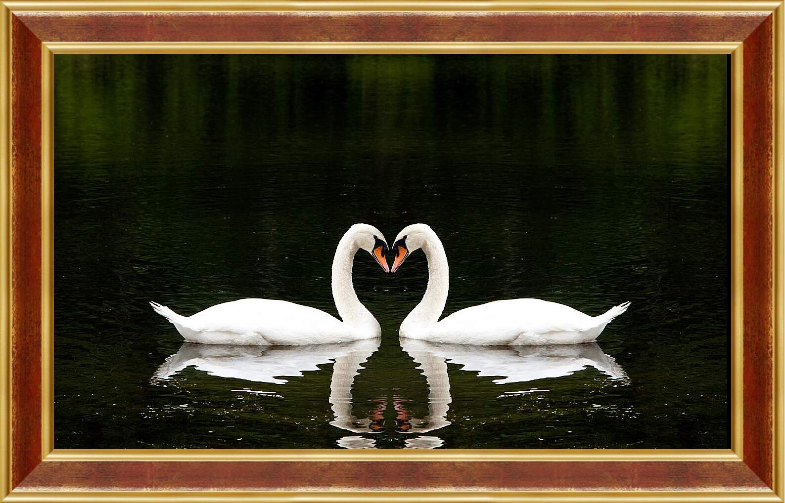 Картина в раме - Лебеди на черном фоне
