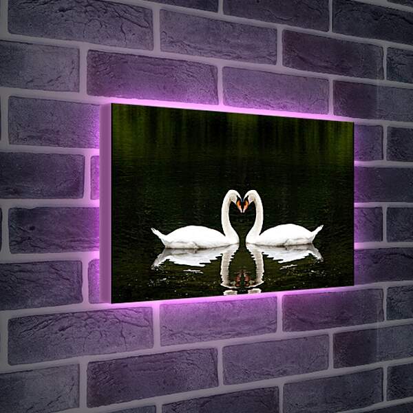 Лайтбокс световая панель - Лебеди на черном фоне

