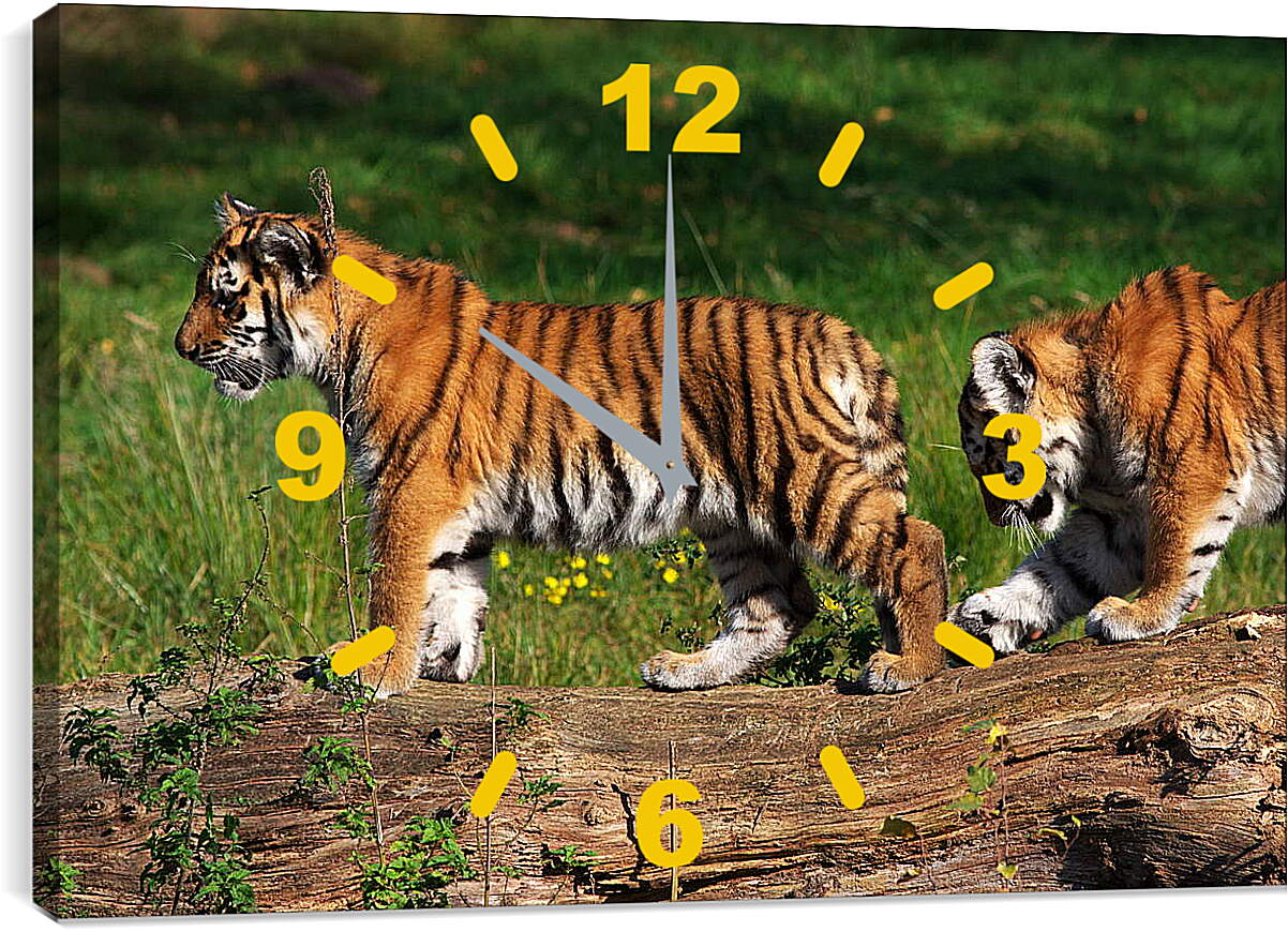 Часы картина - Два тигра
