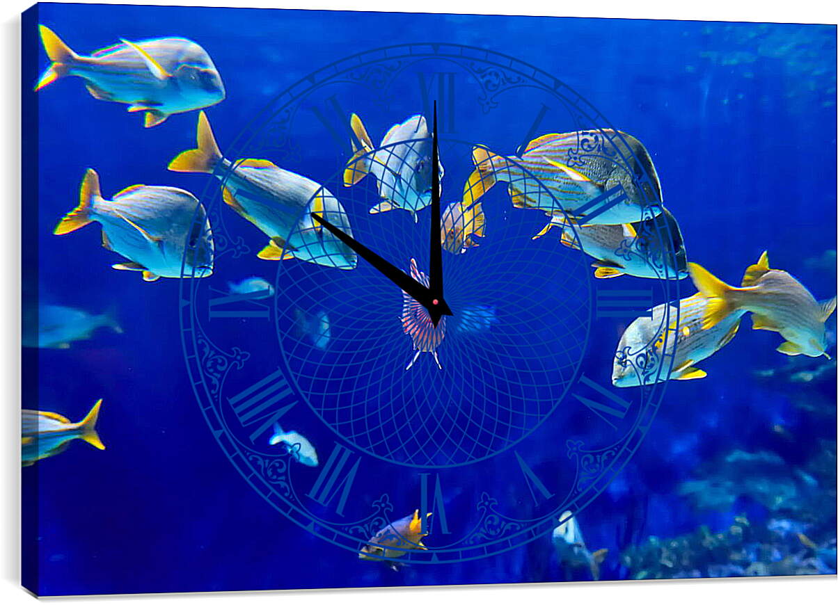 Часы картина - Рыбки
