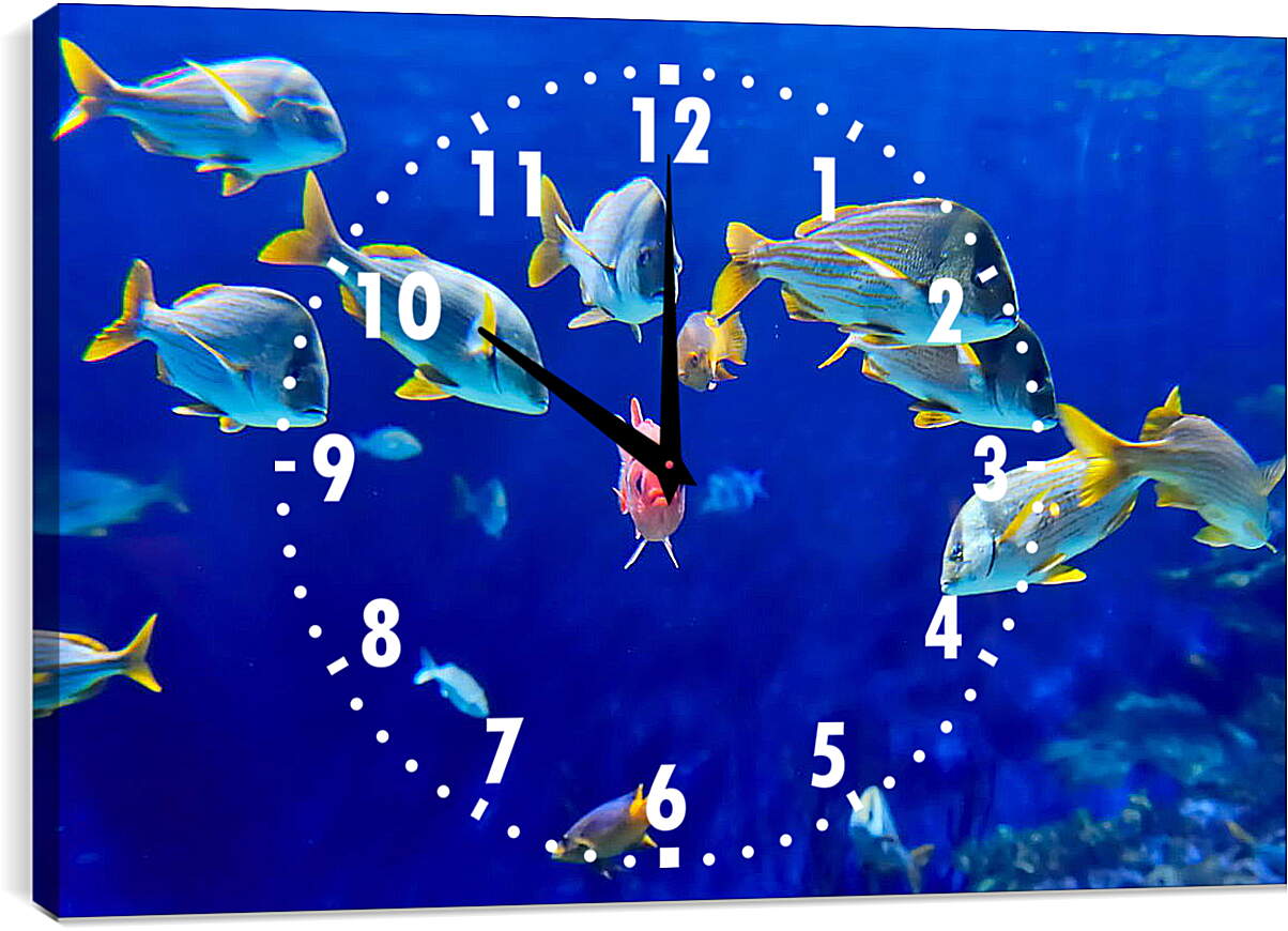 Часы картина - Рыбки
